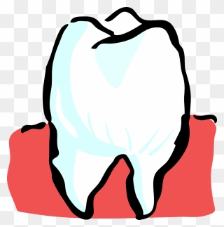 Grapefruit - Teeth Clipart - Png Download