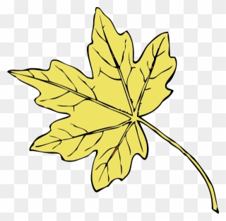 Gold Maple Leaf Clip Art - Red Maple Leaves Clip Art - Png Download