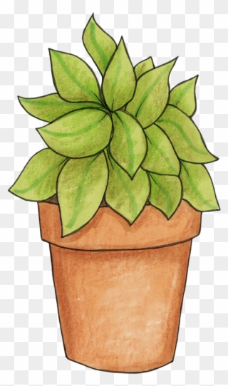Potted Plant - Pot Plant Clip Art - Png Download