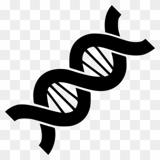 Clip Free Stock Biology Structure Chain Helix - Genetics Png Transparent Png