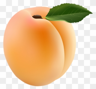 0, - Apricot Png Clipart Transparent Png