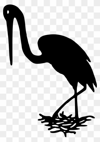 Crane Bird White Stork Beak Pelican - Clip Art - Png Download