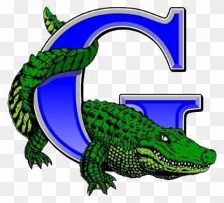 Volleyball Clipart Gator - Grulla High School Gators - Png Download
