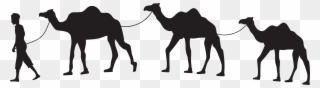Camel Caravan Clip Art Png - Camel Silhouette Png Hd Transparent Png