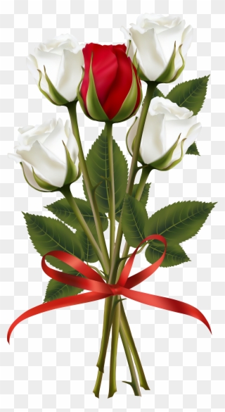 Red And White Rose Clipart - Png Download