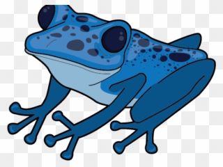 Blue Poison Dart Frog Clipart - Png Download