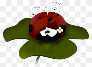 Free To Use Public Domain Insects Clip Art - Animated Ladybug Cartoon - Png Download