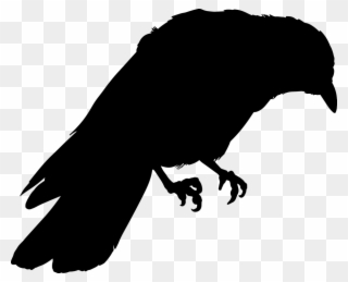 Crow Silhouette Clipart Bird Clip Art - Cuervos Dibujo - Png Download