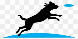 Gif Dog Backpack Running - Jumping Dog Clip Art - Png Download