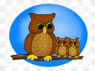 Snowy Owl Clipart Branch - Owl Clip Art - Png Download