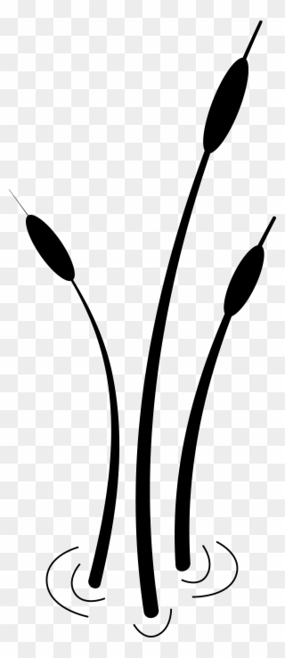 2012spmc Cattails Bl - Cattails Black And White Clipart - Png Download