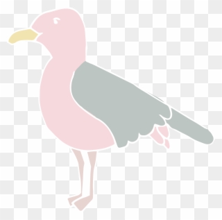 Western Gull Clipart