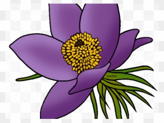 Svg Royalty Free Library Free On Dumielauxepices Net - South Dakota State Flower Clipart