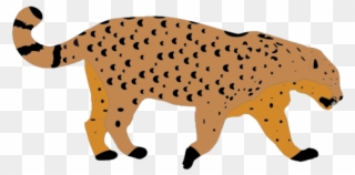 Snow Leopard Clipart Clip Art - Lion - Png Download