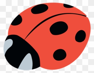 Lady Beetle Clipart Branch - Beetle - Png Download