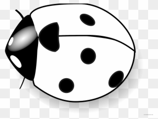 Graphic Black And White Library Clipartblack Com Animal - Blue And White Ladybug - Png Download