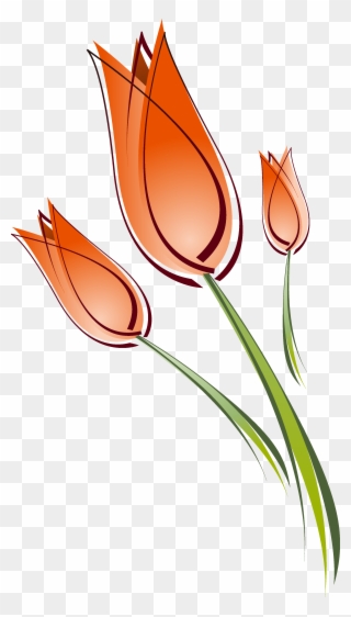 Tulip Clip Art Transprent Png Free - Tulip Drawing Transparent Png
