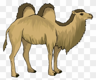 Free Camel Clipart - Two Hump Camel Clip Art - Png Download