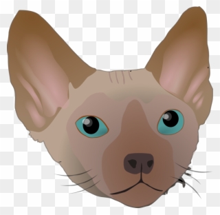 All Photo Png Clipart - Kucing Sphynx Vector Transparent Png