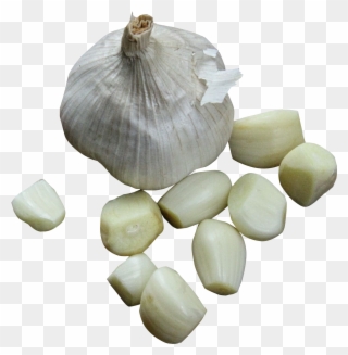 Author Image - Png Garlic Clipart