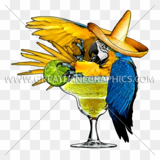 Margarita Production Ready Artwork For T Shirt - Parrot In Margarita Glass Clipart