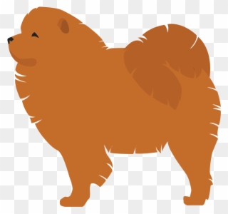 Chow Chow - Dog Breed Clipart
