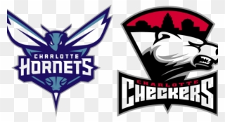 Charlotte Hornets Png Hd - Charlotte Hornets Logo Jpg Clipart