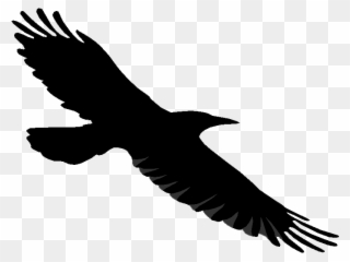 Ravens Clipart - Raven With Transparent Background - Png Download