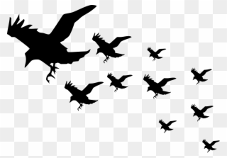 Flying Crow Png 3, Buy Clip Art - Raven Silhouette Transparent Png