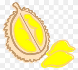 Durian - Illustration Clipart