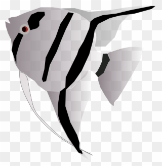 Angel Fish Cliparts 23, Buy Clip Art - Angel Fish Svg - Png Download