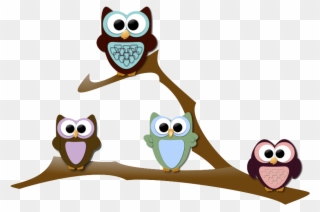 We Have 2 Dogs And A Cat In Our Home - Owl On A Branch Png Clipart