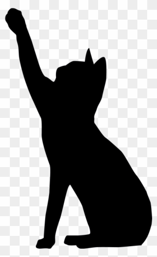 Confused Harold Stock Photo Png - Cat Silhouette Reach Clipart