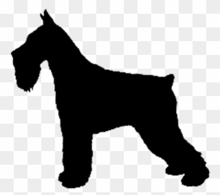 Giant Schnauzer Silhouette At Getdrawings - Giant Schnauzer Silhouette Clipart