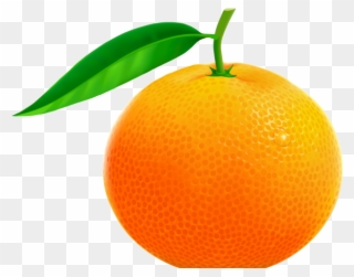 Tangerine Clipart Jeruk - Free Clip Art Orange - Png Download