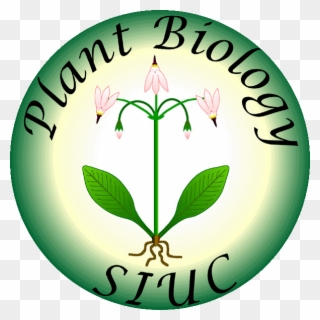 Plb Logo - Siu Plant Biology Logo Clipart