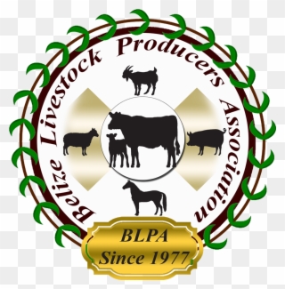 Belize Livestock Registry - Belize Livestock Producers Association Clipart