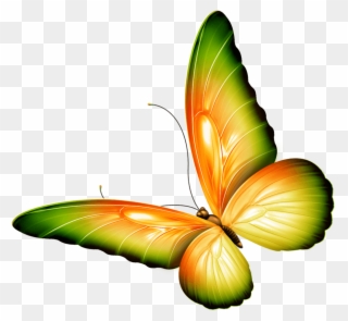 Clip Art Photoshop - Butterfly Clipart With Transparent Background - Png Download