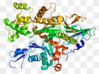 Protein Data Base 3-d Rendering Of The Gelsolin Protein - Human Epididymis Protein 4 Structure Clipart