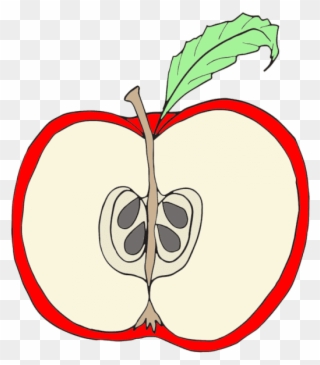 Parts Of An Apple Clipart - Png Download