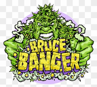 Seedsman's Very Own Bruce Banger Is Bred From An Original - Bruce Banger Clipart