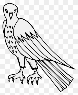 Pdf - Osprey Clipart