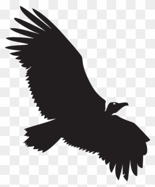 Spread, Silhouette, Bird, Wings, Animal, Vulture - Black Buzzard Wings Spread Clipart