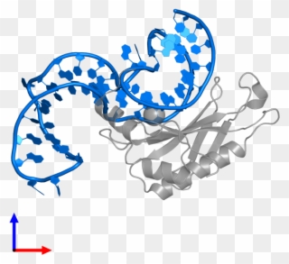 <div Class='caption-body'>pdb Entry 2vpl Contains 1 - Illustration Clipart