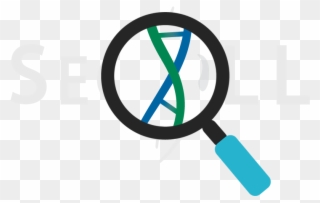 Seqll Dna Rna Sequencing Au2l - Bilibili Clipart