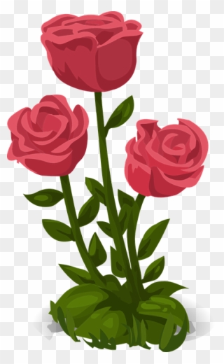 Pink Roses Clipart 13, Buy Clip Art - รูป ดอกไม้ กุหลาบ - Png Download