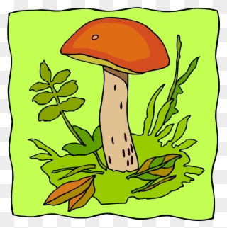 Mushrooms, Fungi, Bacteria - Pathogen Clipart