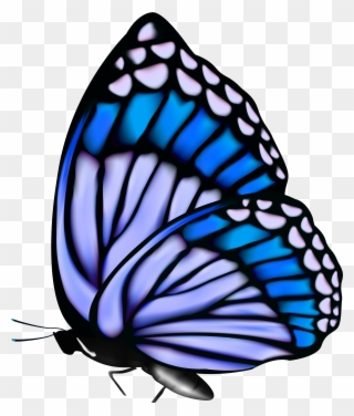 Butterflies Png Butterfly - Papilio Clipart
