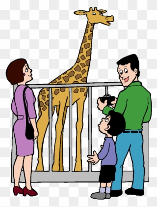 2014 03 09 - Giraffe In The Zoo Clipart - Png Download