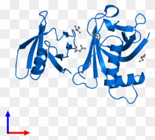 <div Class='caption-body'>pdb Entry 3fss Contains 1 - Calligraphy Clipart